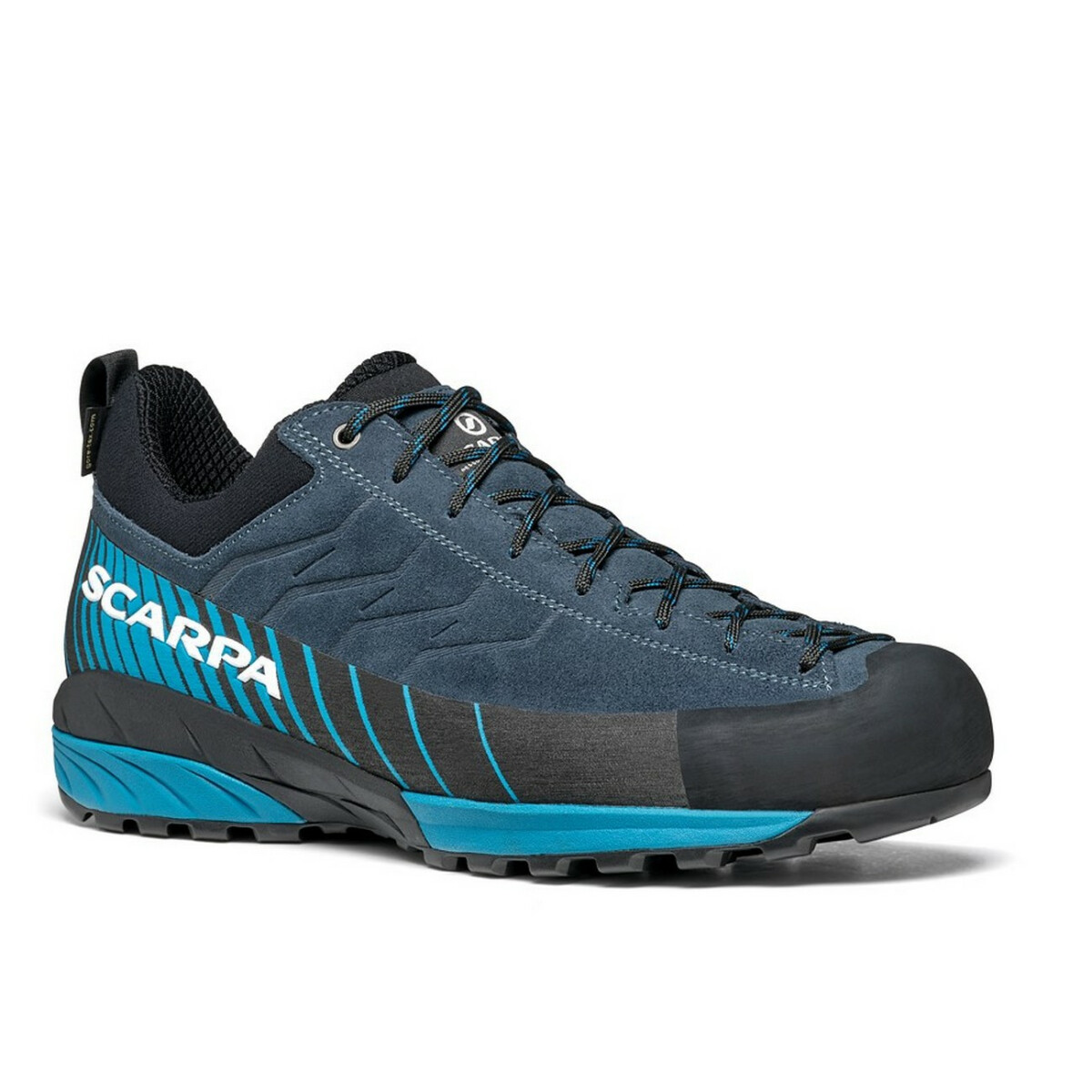 SCARPA Mescalito Gtx