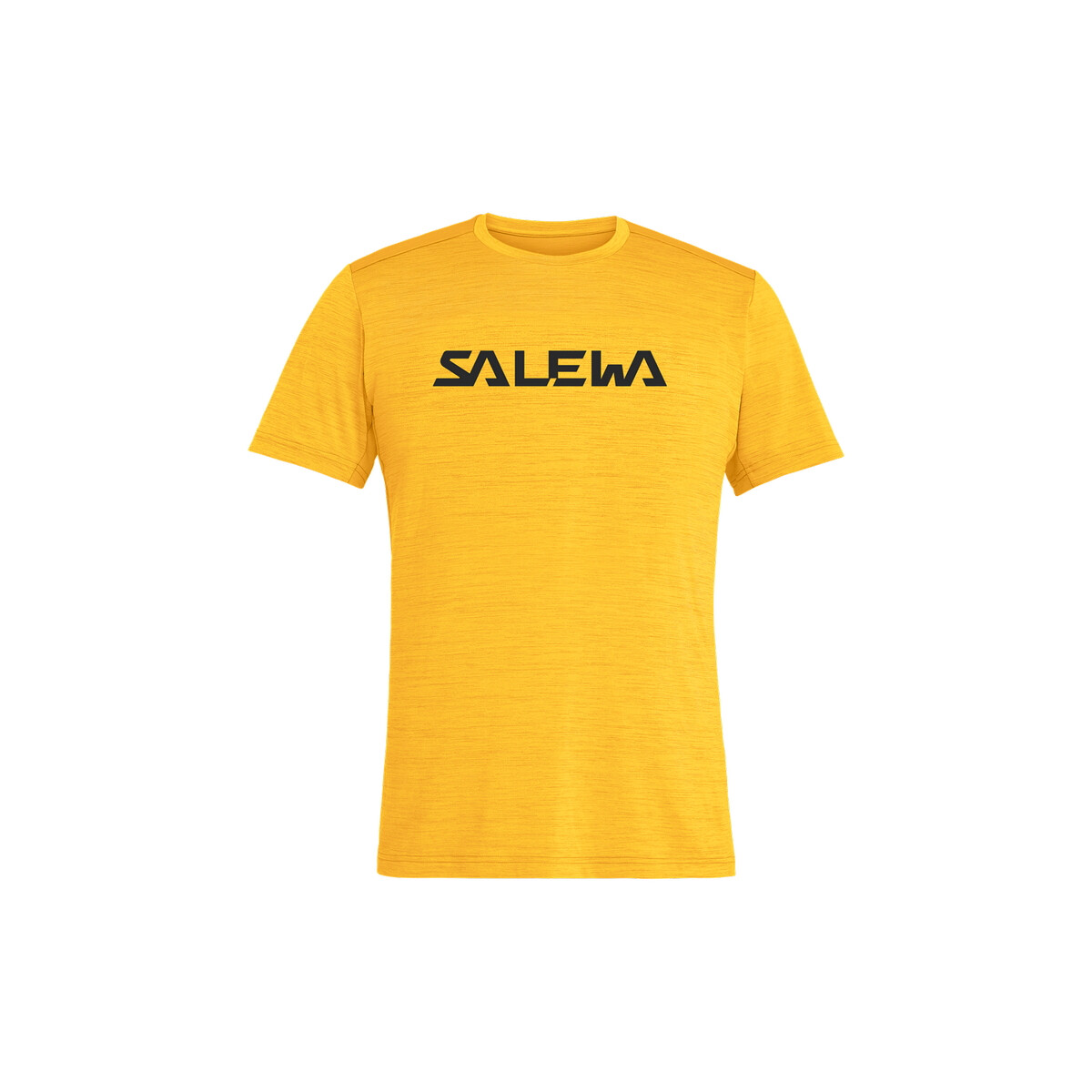 SALEWA Puez Hb 2 Dry S/S Tee M