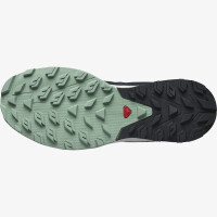 SALOMON OUTRISE w granitegreen