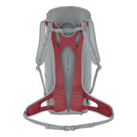 SALEWA Alp Mate 24 WS