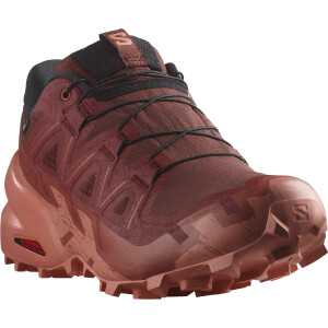 SALOMON SPEEDCROSS 6 Gtx w flint,blk