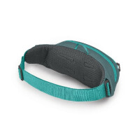 OSPREY Daylite Waist