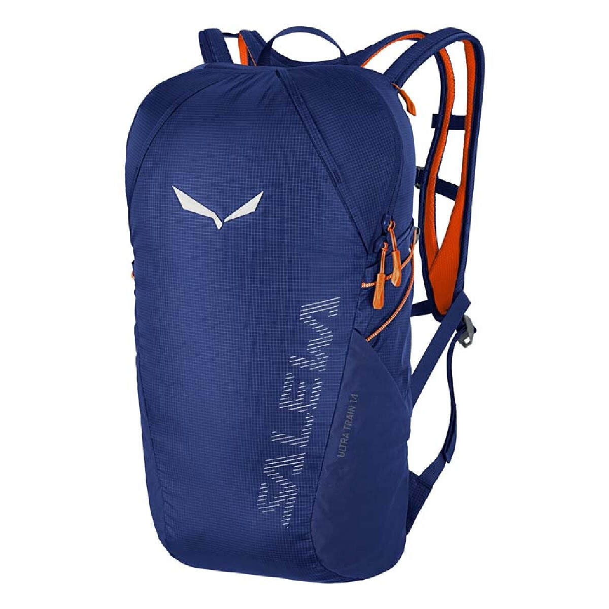 Salewa Ultra Train 14 BP