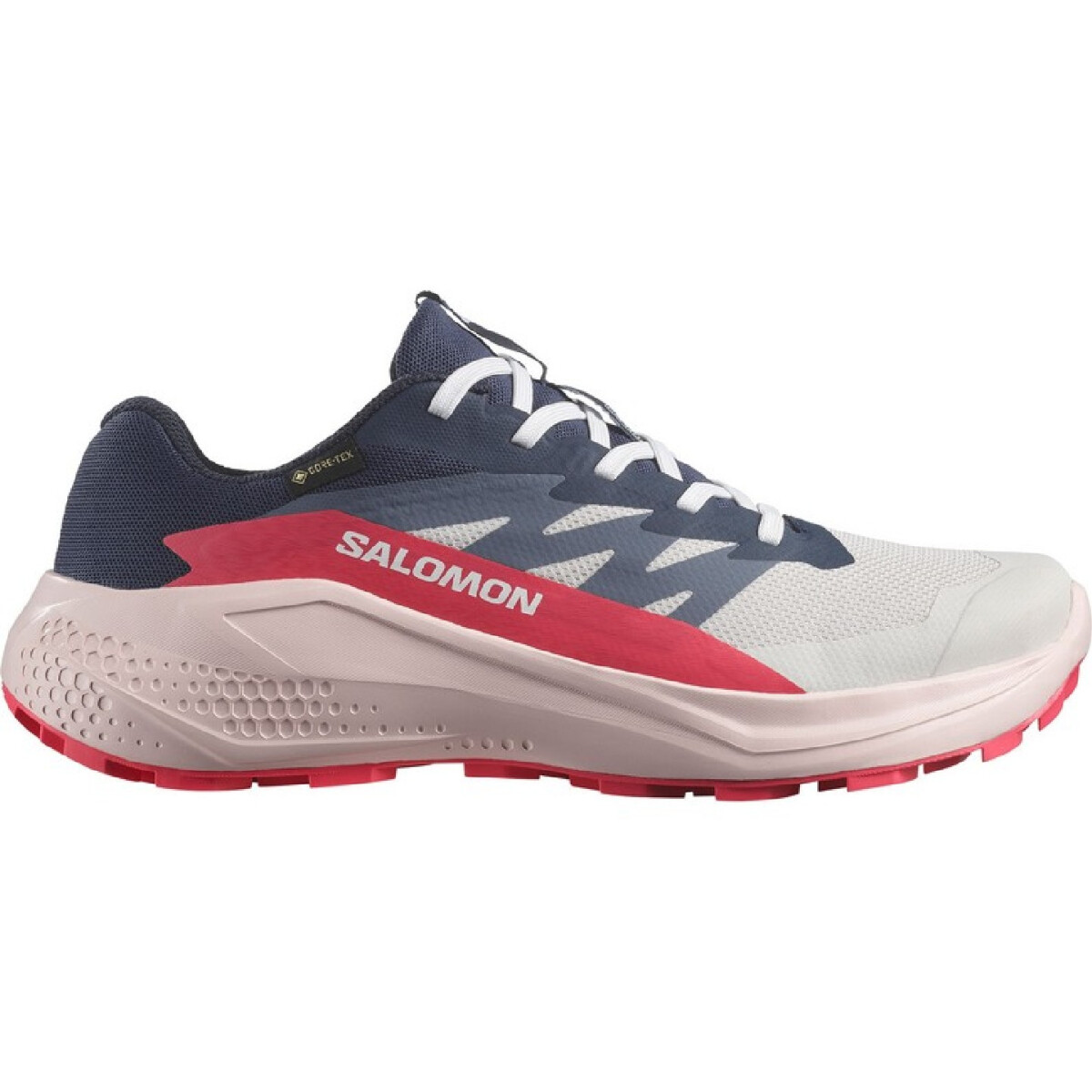 SALOMON ALPHAGLIDE GTX  W box