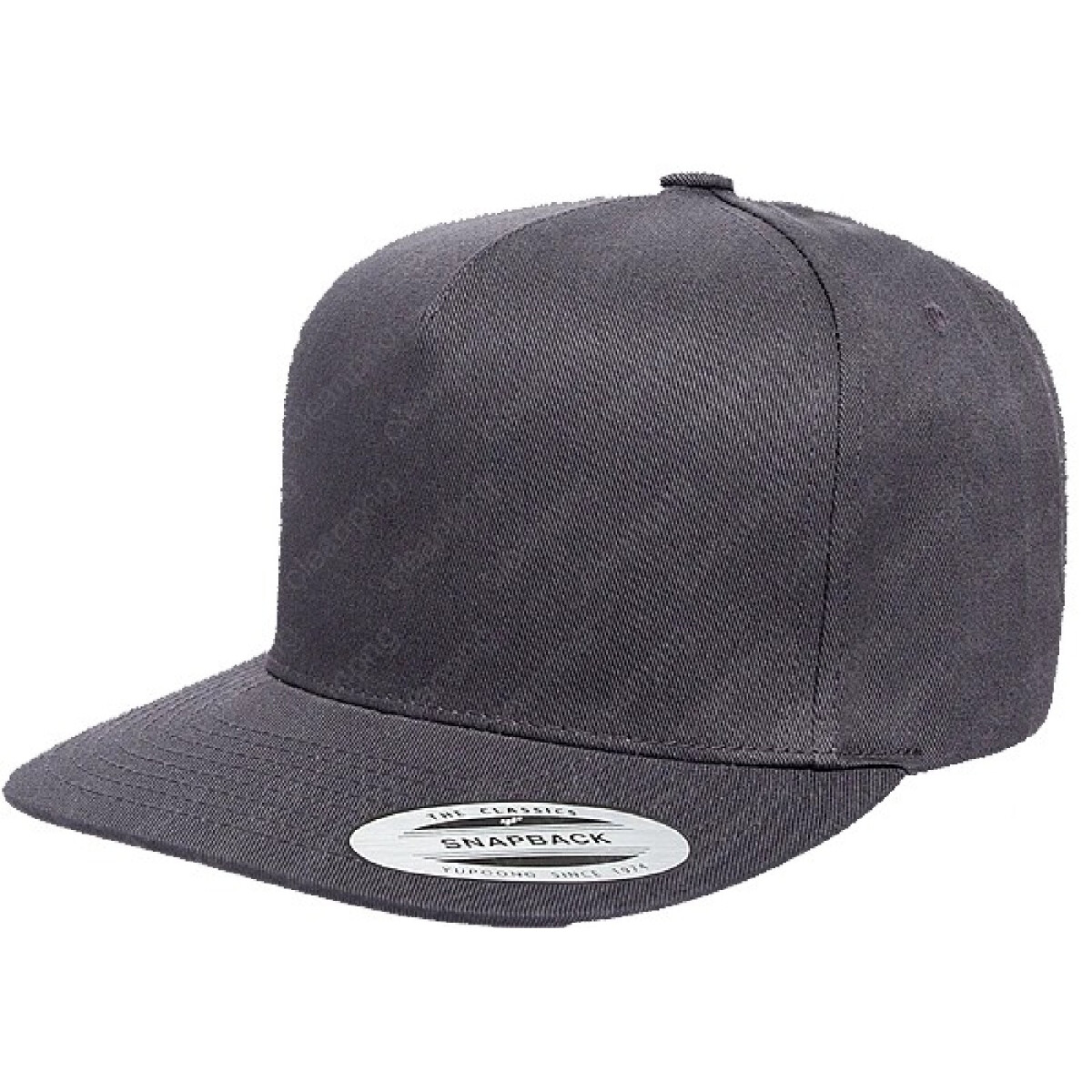 EIN WEG- SNAPBACK