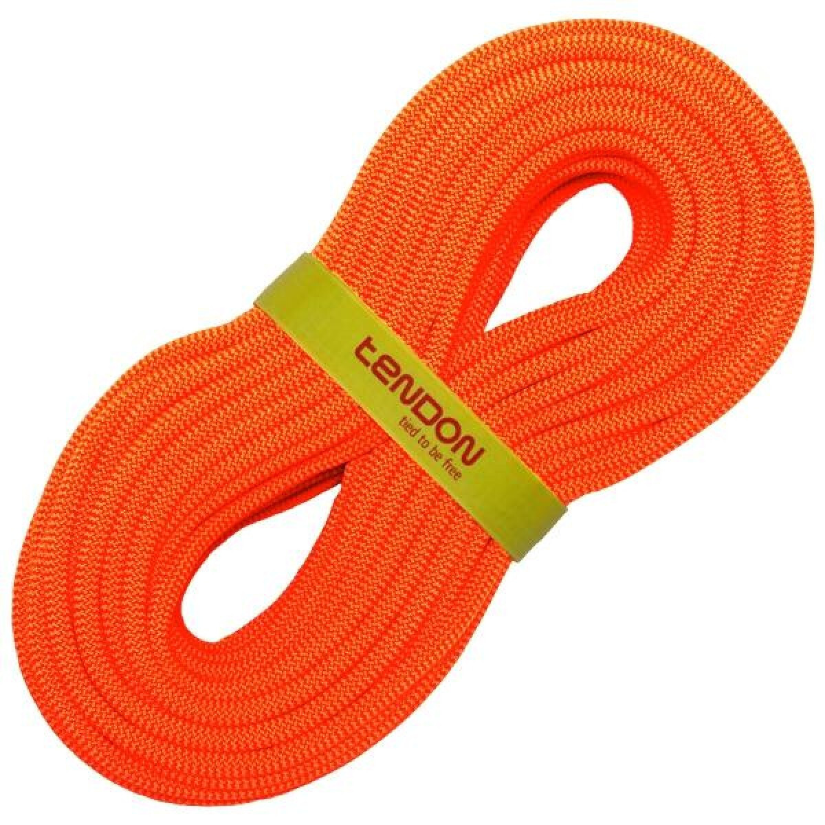KONG DYNAMIC 9.5 SMART STD 60m
